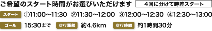 スケジュール