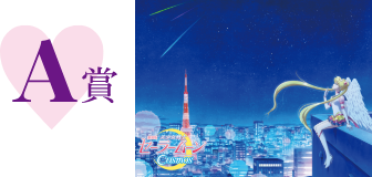 第1弾 A賞