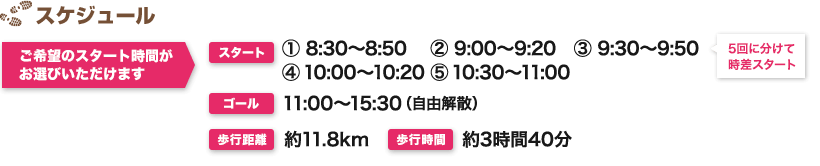 スケジュール