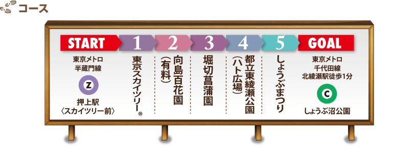 コース
