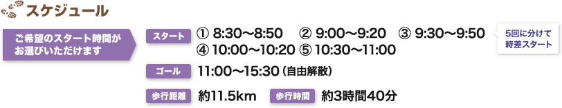 スケジュール